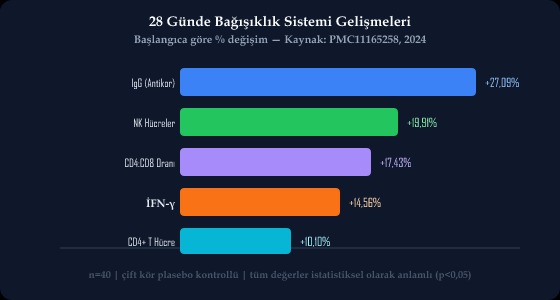 28 Günde Bağışıklık Sistemi Gelişmeleri — Klinik Çalışma Sonuçları